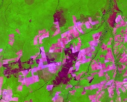 Burned areas in Mato Grosso (Landsat 8 image from 19.10.2015)