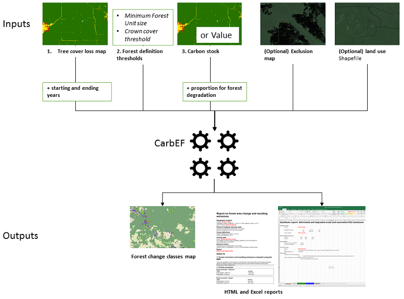 CarbeEF workflow