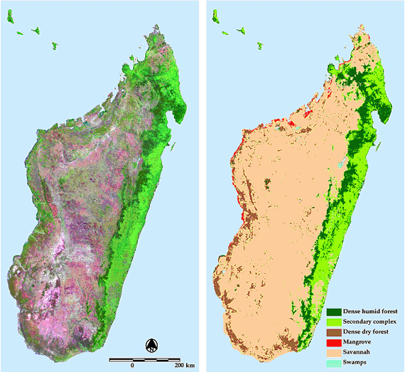 Forest Cover Map of Madagascar from SPOT VGT data