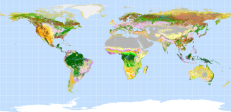 land cover