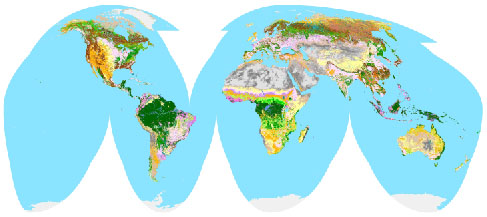 Global Land Cover 2000 map