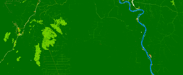 Map of undisturbed evergreen forest, logging roads and degraded forest (due to logging and fire) in North Congo