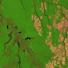 Mato Grosso State (Brazil)